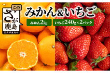 予約受付 目利きのプロが厳選 佐賀県産みかん 約2kg＆イチゴ セット いちご 苺 みかん ミカン フルーツ 蜜柑 果物 果実 ギフト 贈物 プレゼント ふるさと納税 佐賀県 鹿島市 B-668