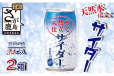 天然水仕立てサイダー 【350ml缶×24本入】×2ケース【飲み切りサイズ】サイダー 箱買い B-660