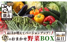 【バージョンアップ】旬のおまかせ野菜BOXセット【16～18品目お届け】 冷蔵配送【 野菜 果物 旬 セット 詰め合わせ 】B-690