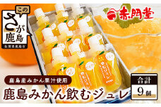 鹿島みかん 飲むジュレ（9本セット） ミカン ジュレ 果汁飲料  B-654