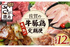 【定期便12回】佐賀の「牛・豚・鶏」食べ比べ 定期便 12ヶ月 12ヵ月 佐賀牛 ありた鶏 佐賀県産豚肉 焼き肉 焼肉 しゃぶしゃぶ ステーキ バラエティ V-44