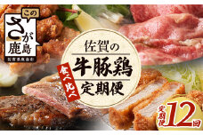 定期便12回 佐賀の「牛・豚・鶏」食べ比べ 定期便 12ヶ月 12ヵ月 佐賀牛 ありた鶏 佐賀県産豚肉 肉 定期 牛肉 豚肉 鶏肉 黒毛和牛 焼き肉 焼肉 しゃぶしゃぶ ステーキ バラエティ ふるさと納税 佐賀県 鹿島市 P-9