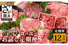 【定期便12回】佐賀牛 食べ比べ 定期便【モモスライス 肩ロース サーロインステーキ 切り落し ローストビーフ 焼肉 サイコロステーキ モモブロック】 V-45