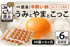 【定期便 6回】平飼い卵「うみとやまとこっこ」上田養鶏場 たまご40個 × 6ヶ月【合計240個】佐賀県鹿島産 卵 タマゴ H-28