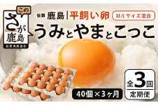 【定期便 3回】平飼い卵「うみとやまとこっこ」上田養鶏場 たまご40個 × 3ヶ月【合計120個】佐賀県鹿島産 卵 タマゴ E-128