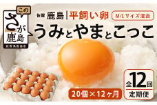 定期便 12回 平飼い卵「うみとやまとこっこ」上田養鶏場 たまご 20個 × 12ヶ月 合計240個 卵 タマゴ ふるさと納税 佐賀県 鹿島市 I-32