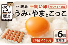 【定期便 6回】 平飼い卵 うみとやまとこっこ 上田養鶏場 たまご20個 × 6ヶ月 合計120個 卵 玉子 たまご ふるさと納税 佐賀県 鹿島市 E-129