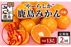 2回定期 訳あり ”やーらしか”鹿島産みかん 約 6.5kg × 2回 配送期日指定不可 みかん ミカン 蜜柑 柑橘 果物 フルーツ 甘い ご家庭用 ふるさと納税 佐賀県 鹿島市 B-714