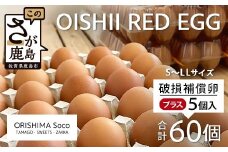 【鹿島市産のたまご】肥前のおいしい赤たまご 60個 (55個＋破損補償5個入り) B-711 卵 玉子 タマゴ 料理 卵かけご飯 目玉焼き 玉子焼き スイーツ