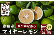 【産地直送】【農家直送】【予約受付】佐賀県鹿島市産 マイヤーレモン 5kg サイズ混合【9月中旬頃から配送】 B-726