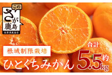 【１２月～2月中旬お届け】鹿島みかん　 根域制限栽培一口みかん 約５.５ｋｇ A-178