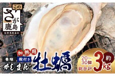 【先行予約】有明海産 すみのえ牡蠣（養殖・加熱用）殻付き 3kg | 全国牡蠣-1グランプリ銀賞受賞 | 生産者直送【11月中旬頃から発送予定】新鮮・美味しい・濃厚な焼き牡蠣や蒸し牡蠣に最適！クリーミー 旬 旨味 グルメ 佐賀県 鹿島市 人気 C-114