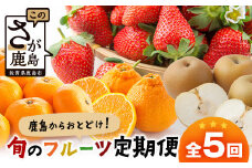【定期便 5回】鹿島からお届けフルーツ定期便 5ヶ月 果物 いちご イチゴ 苺 なし 梨 みかん 柑橘 くだもの セット バラエティ デコポン ぽんかん ポンカン いよかん 伊予柑 H-31