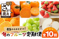 定期便 10回 鹿島からお届け フルーツ 定期便 10ヶ月 果物 フルーツ いちご イチゴ 苺 なし 梨 みかん 柑橘 くだもの セット バラエティ デコポン ぽんかん ポンカン いよかん 伊予柑 せとか 津の輝き 甘夏 柿 かき カキ キウイ ゴールデンキウイ シャインマスカット マスカット ふるさと納税 佐賀県 鹿島市 N-17