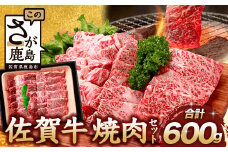 【7月配送】佐賀牛 焼肉セット 600g BBQ バーベキュー 焼き肉 バラ モモ D-191