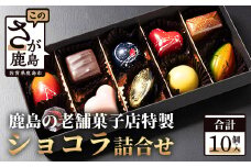 【匠の技】菓子工房 ひのでや てづくり ショコラ 10個 詰め合わせセット【シェフのこだわりと技術が詰まったチョコレート】B-561