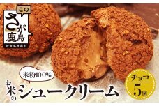 お米のチョコシュークリーム 5個入り AA-26 米粉 チョコレート シュークリーム 贈り物 贈答 プレゼント スイーツ チョコ お菓子 デザート バレンタインデー ホワイトデー