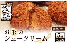 ホワイトデー対応可 お米のチョコシュークリーム 5個入り AA-26 米粉 チョコレート シュークリーム 贈り物 贈答 プレゼント スイーツ チョコ お菓子 デザート バレンタインデー ホワイトデー