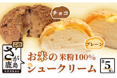 バレンタイン対応可 米粉のクッキーシューと米粉のチョコクッキーシュー10個詰め合わせ B-480 米粉 チョコレート シュークリーム 贈り物 贈答 プレゼント スイーツ チョコ お菓子 デザート バレンタインデー ホワイトデー セット プレーン クリーム