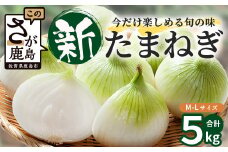  甘～い！新鮮！新たまねぎ 約5kg (MLサイズ）★大自然育ち【2025年4月より発送】生産者直送！タマネギ 玉葱 新タマ 新玉ねぎ サラダ 惣菜 お料理 ストック 箱買 美味しい 甘い 常備野菜 佐賀県 鹿島市産 人気 送料無料 A-180