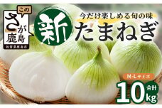  甘～い！新鮮！新たまねぎ 約10kg (MLサイズ）★大自然育ち【2025年4月より発送】生産者直送！タマネギ 玉葱 新タマ 新玉ねぎ サラダ 惣菜 お料理 ストック 箱買 美味しい 甘い 常備野菜 佐賀県 鹿島市産 人気 送料無料 B-737