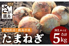 【先行予約】鹿島市産　玉ねぎ　5kg（MLサイズ）農家直送　５月以降発送予定　A-179