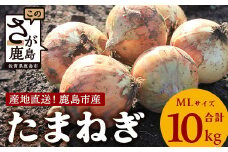 【先行予約】鹿島市産　玉ねぎ　10kg（MLサイズ）農家直送　５月以降発送予定　B-736