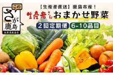 【生産者直送】鹿島市産　生産者おまかせ野菜２回定期便（夏５月～７月、秋９～１１月）　B-739