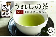 うれしの茶　特上玉緑茶　2本入　詰め合わせ　B-751