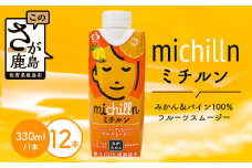 果汁ミックスジュース　ミチルン 【330ml×12本】 フルーツ スムージー B-763