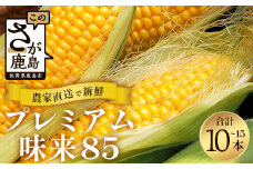 佐賀県鹿島市産　とうもろこし　スイートコーン　プレミアム味来　B-779