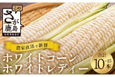 佐賀県鹿島市産　【かなり甘い】　とうもろこし　ホワイトコーン　ホワイトレディー　B-780