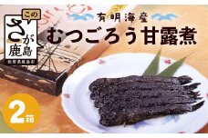 佐賀県鹿島市産 有明海 むつごろう甘露煮 【２箱】 B-761