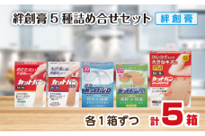救急絆創膏 5種貼り比べセット 各1セット 計5箱 A-185