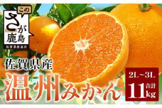 佐賀県産 温州みかん 約11kg（2L～3L混載）大玉みかん【11月下旬～1月上旬ごろ配送】　B-802
