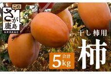 柿【干し柿用】約5kg（30個前後）渋柿 B-793