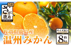 佐賀県鹿島産 温州みかん（サイズ混合 ） 約8kg  B-804
