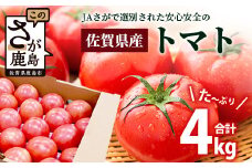 ＼JA直送＆新鮮！／ 佐賀県産トマト 約4kg｜旬のとまと 春限定 産地直送 生活応援 野菜 サラダ おすすめ 栄養満点 リコピンたっぷり 送料無料 B-805