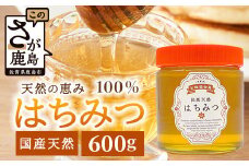 鹿島市産 天然の恵み 100% はちみつ 600g 化粧箱入 B-806 ハチミツ 蜂蜜 ハニー 天然はちみつ 天然蜂蜜 国産