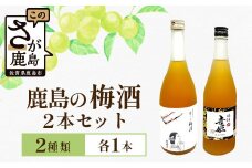 【梅酒セット】鹿島の梅酒2本セット 【光武 癒しの梅酒 720ml 1本】・【幸姫梅酒 500ml 1本(パリ・クラマスター2024 ゴールドメダル受賞)】[梅酒 うめ酒 セット 梅酒セット 2本 お酒 酒 梅 梅果肉 すっきり 酸味 おすすめ 人気 送料無料] B-811