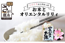 【生産者直送】幸せと笑顔を届ける お米（ゆりひめ）３kgとオリエンタルリリィ  C-129