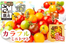 ＼農林水産大臣賞受賞／岩永さんちのトマト 【カラフルミニトマト5色 約1kg】【生産者直送】化学肥料不使用  有機栽培 手造り堆肥 甘い フルーティ お弁当 サラダ おやつ 健康 安心安全 ふるさと納税   B-823