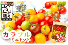 ＼農林水産大臣賞受賞／岩永さんちのトマト 【カラフルミニトマト5色 約3kg】【生産者直送】化学肥料不使用 有機栽培 手造り肥料 甘い フルーティ お弁当 サラダ おやつ 健康 安心安全 ふるさと納税   D-221