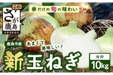 鹿島市産 新玉ねぎ 合計10kg B-842 たまねぎ 玉葱 サラダ 料理