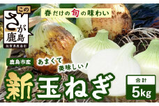 鹿島市産 新玉ねぎ 合計5kg A-207 たまねぎ 玉葱 サラダ 料理