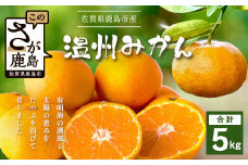 温州みかん 5kg　B-841