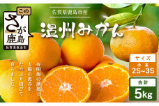 温州みかん 小玉(SS,3S)5kg　A-205