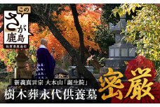 樹木葬永代供養墓「密厳」佐賀県 鹿島市 鹿島 誕生院 お寺 寺院 樹木葬 永代供養 宗教 宗派 檀家 墓じまい　V-61