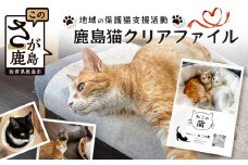 鹿島猫クリアファイル｜保護猫カフェねこの蔵 クリアファイル 保護猫 猫 古民家カフェ 支援 鹿島市 猫カフェ カフェ プレゼント　AA-63
