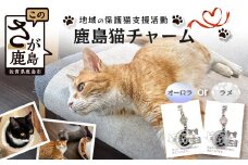 鹿島猫チャーム｜保護猫カフェねこの蔵 チャーム 保護猫 猫 古民家カフェ 支援 鹿島市 猫カフェ カフェ プレゼント　AA-64